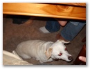 dsc00135.jpg