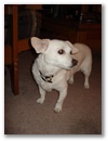 dsc00153.jpg
